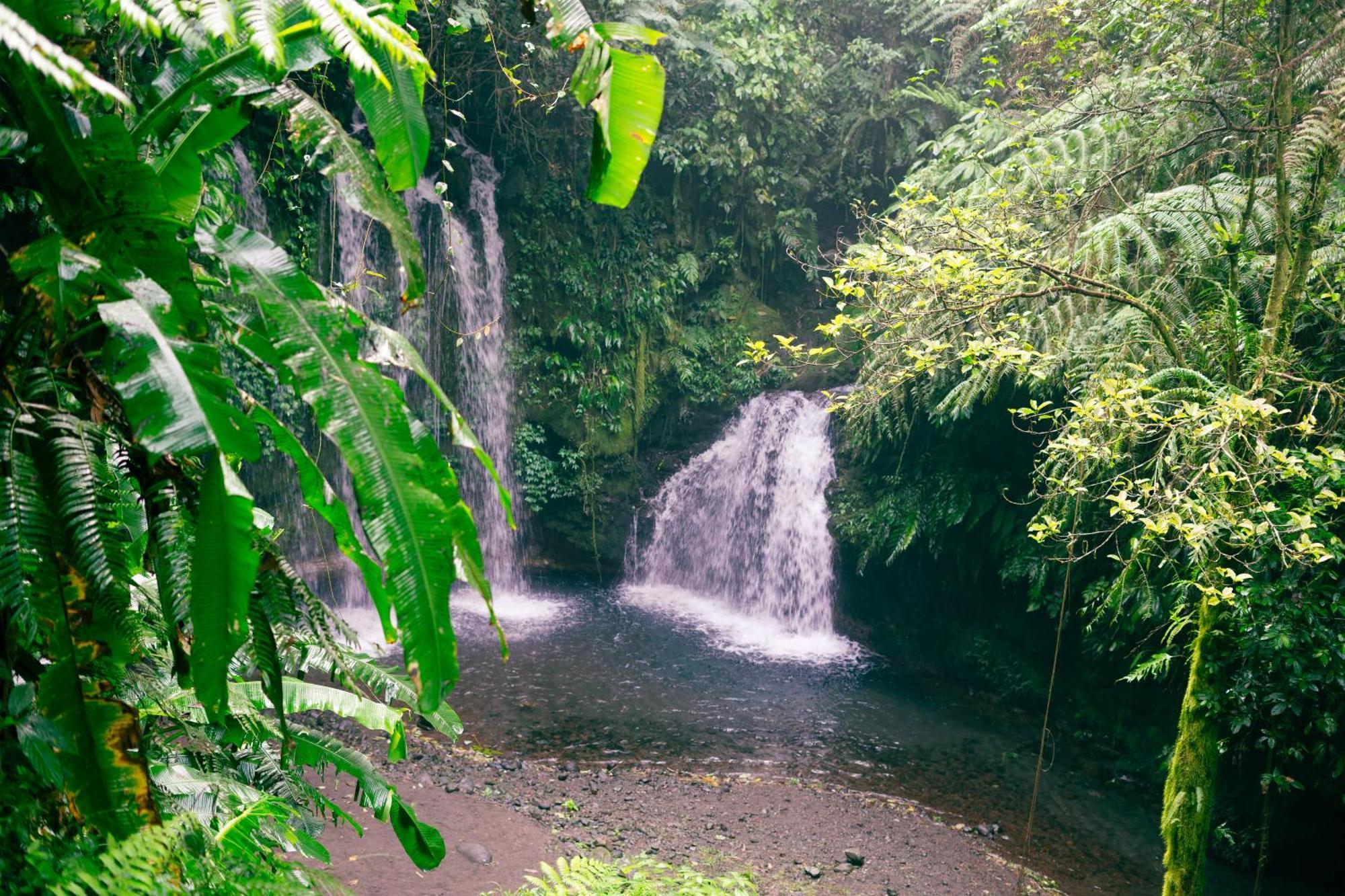 Santya Loka Lodge & Twin Waterfall Jatiluwih Exteriér fotografie