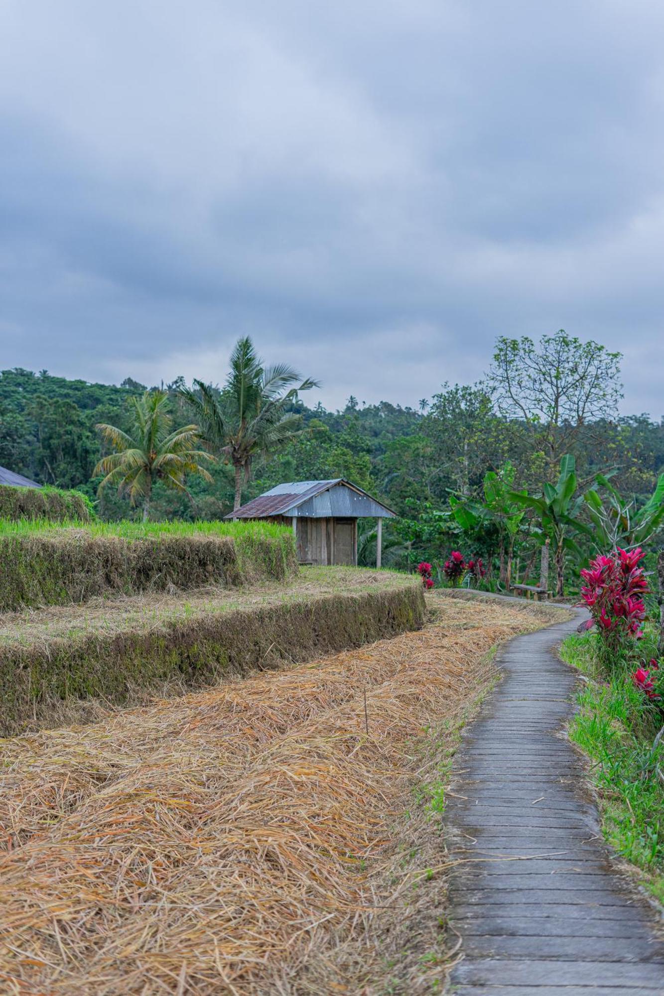 Santya Loka Lodge & Twin Waterfall Jatiluwih Exteriér fotografie
