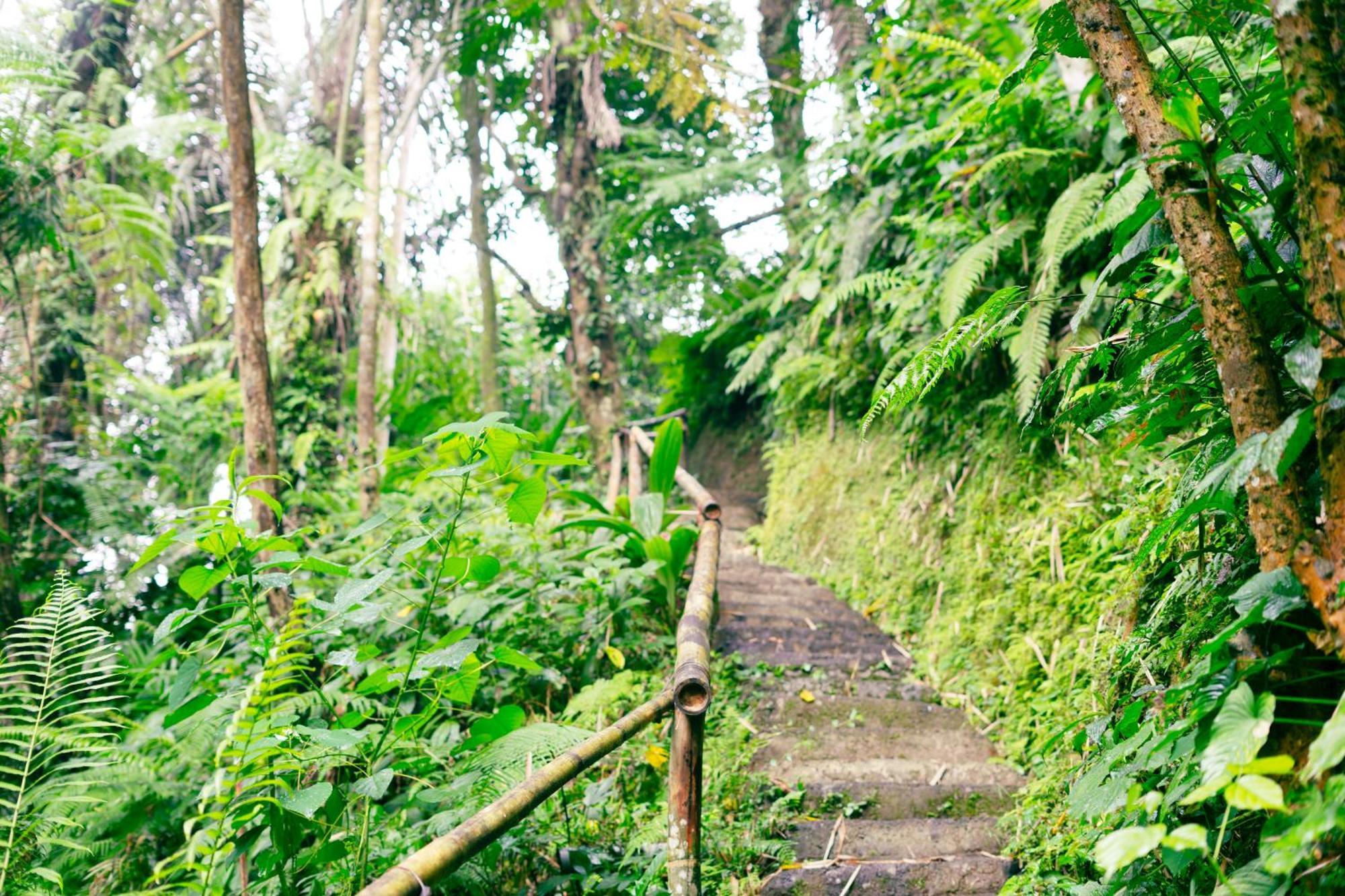 Santya Loka Lodge & Twin Waterfall Jatiluwih Exteriér fotografie