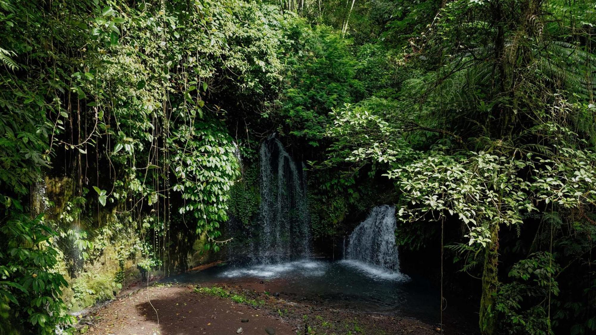 Santya Loka Lodge & Twin Waterfall Jatiluwih Exteriér fotografie