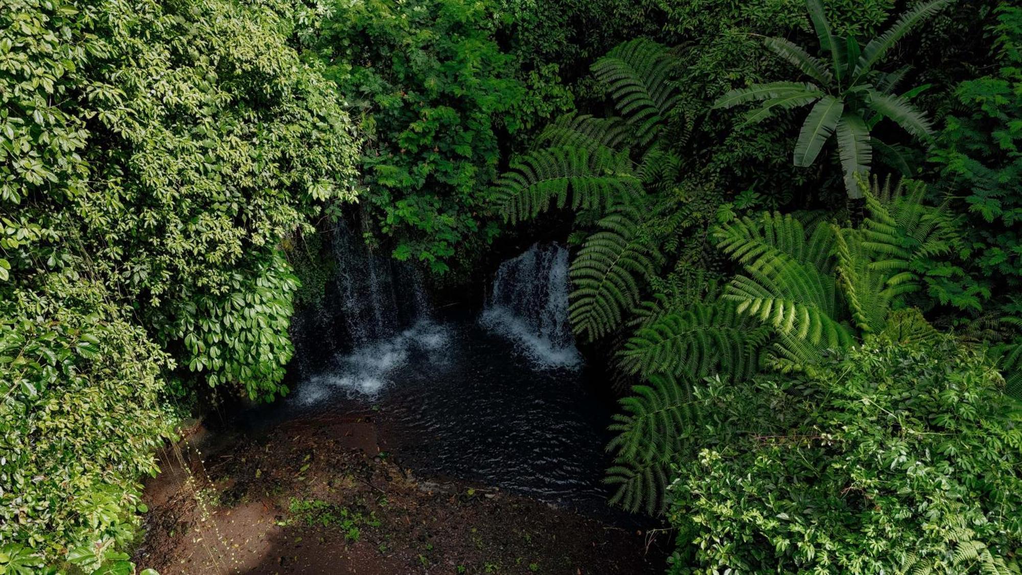 Santya Loka Lodge & Twin Waterfall Jatiluwih Exteriér fotografie