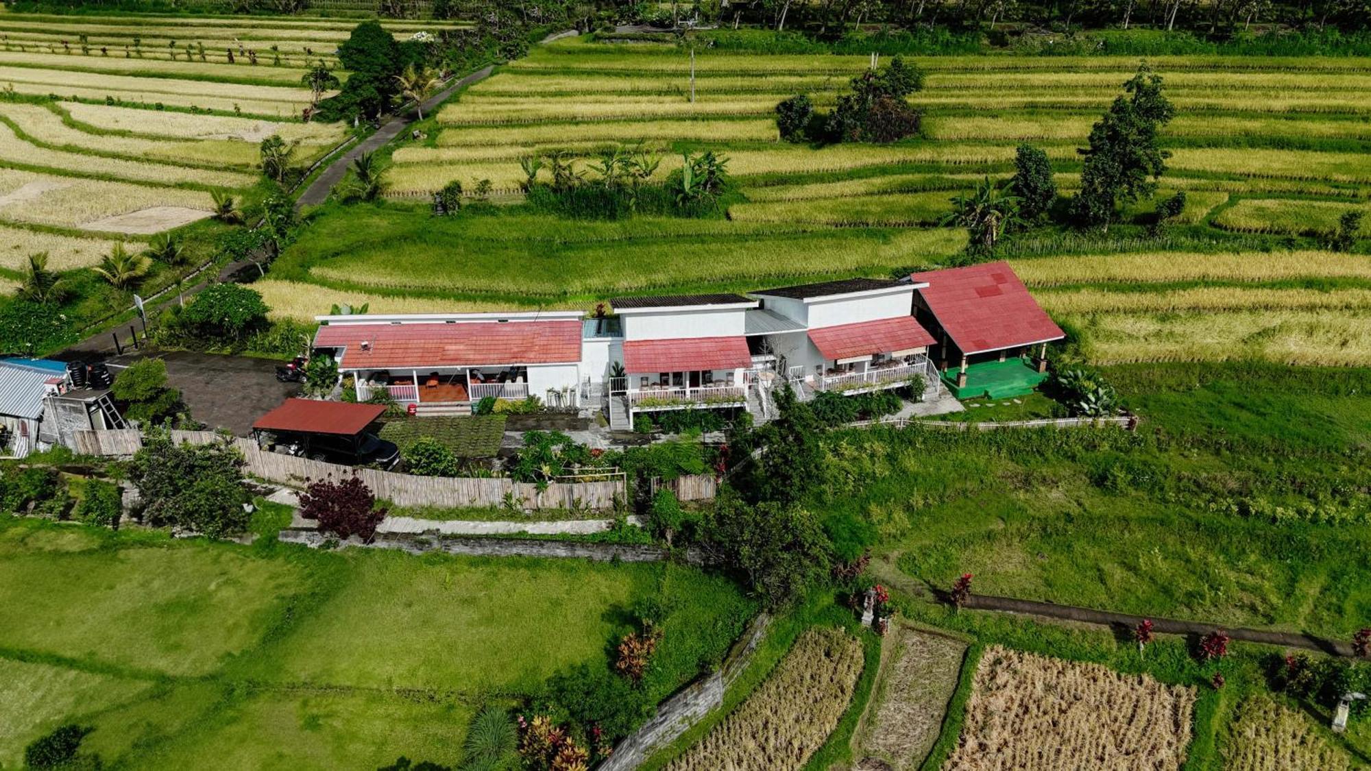 Santya Loka Lodge & Twin Waterfall Jatiluwih Exteriér fotografie