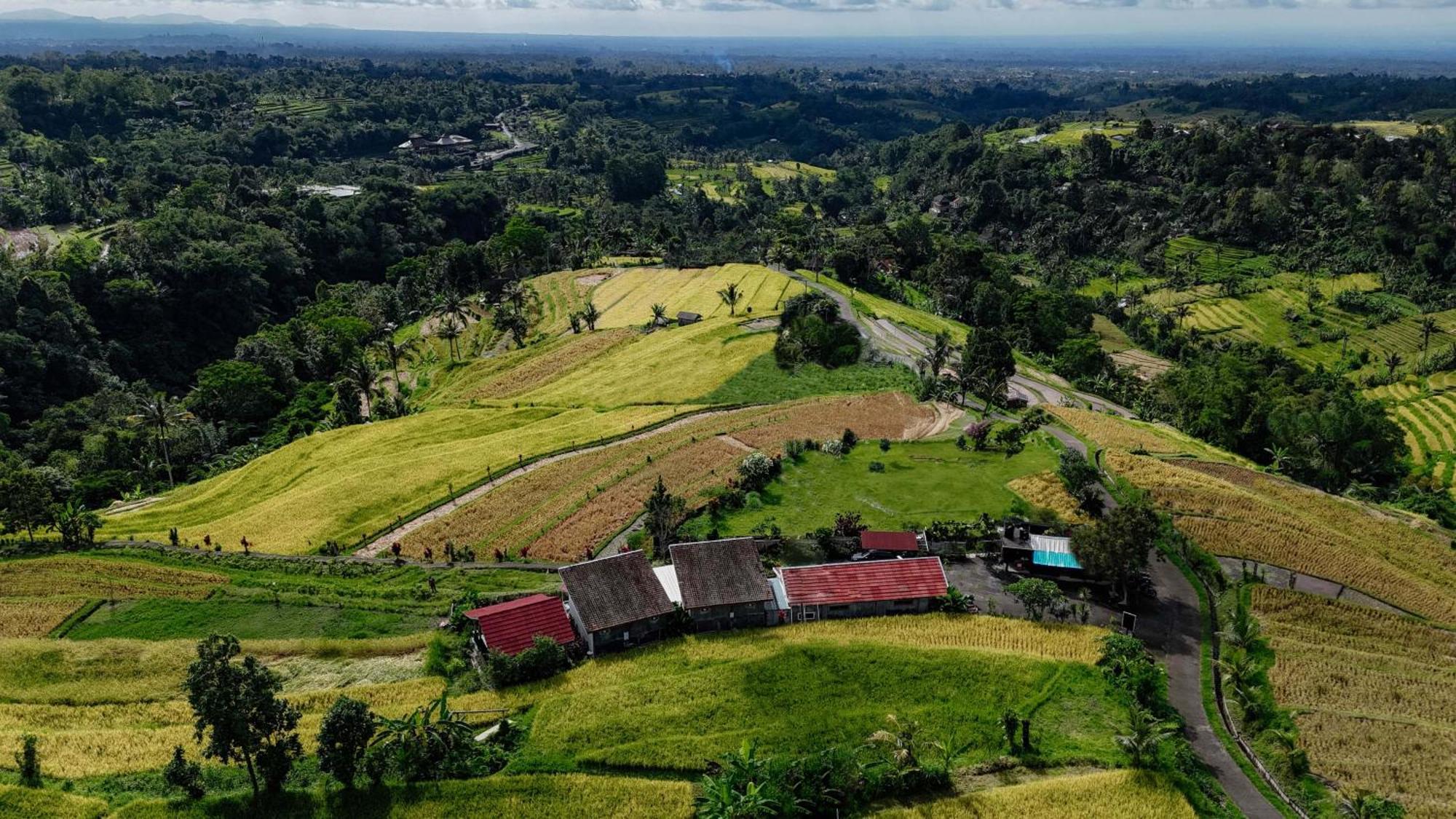 Santya Loka Lodge & Twin Waterfall Jatiluwih Exteriér fotografie