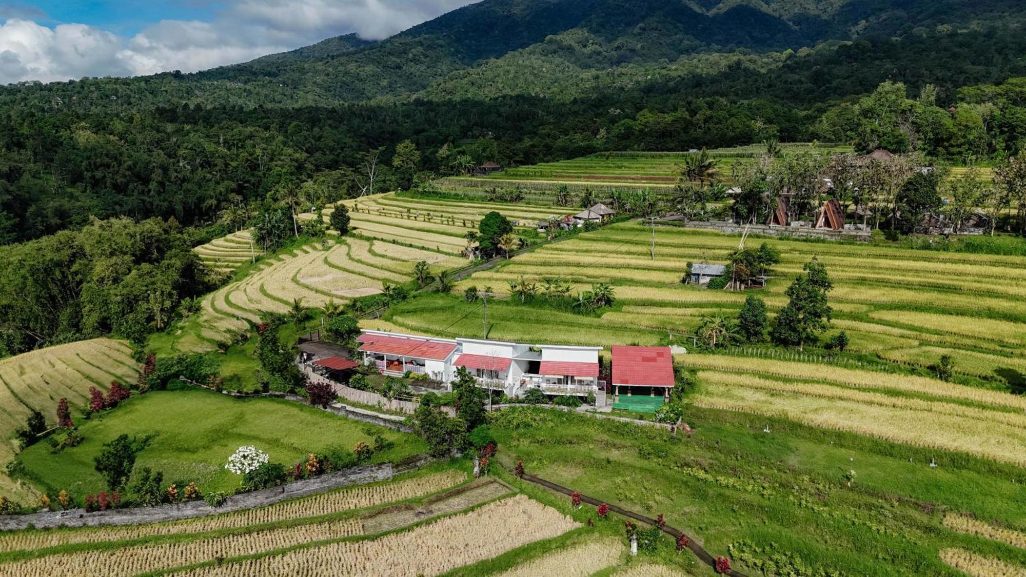 Santya Loka Lodge & Twin Waterfall Jatiluwih Exteriér fotografie