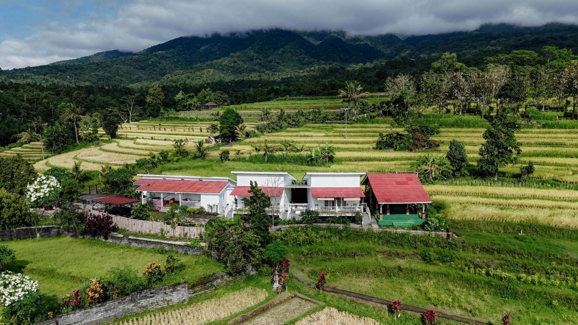Santya Loka Lodge & Twin Waterfall Jatiluwih Exteriér fotografie