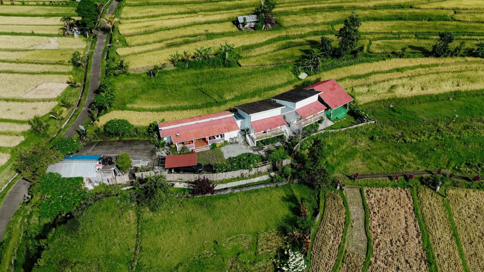 Santya Loka Lodge & Twin Waterfall Jatiluwih Exteriér fotografie