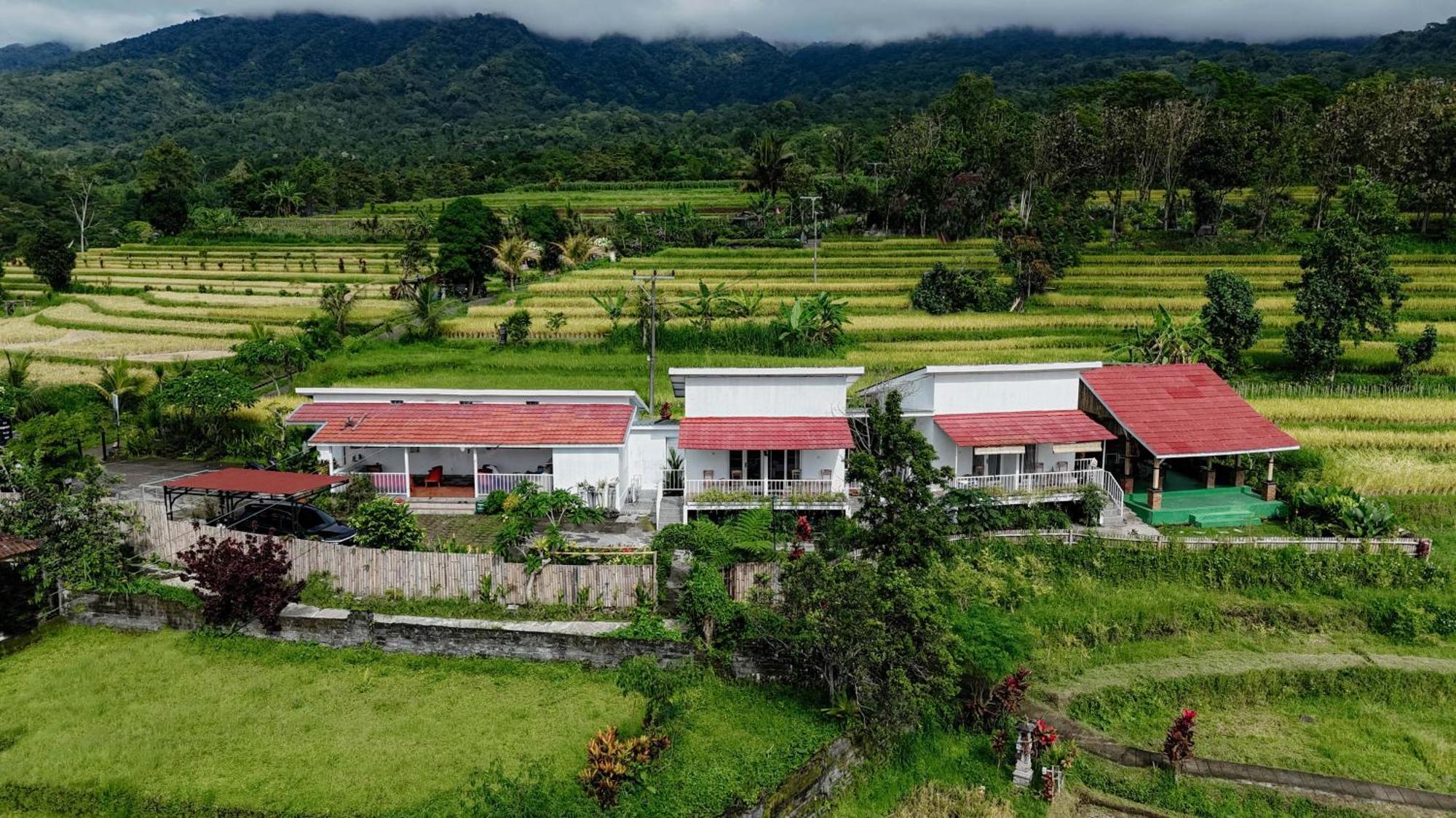 Santya Loka Lodge & Twin Waterfall Jatiluwih Exteriér fotografie