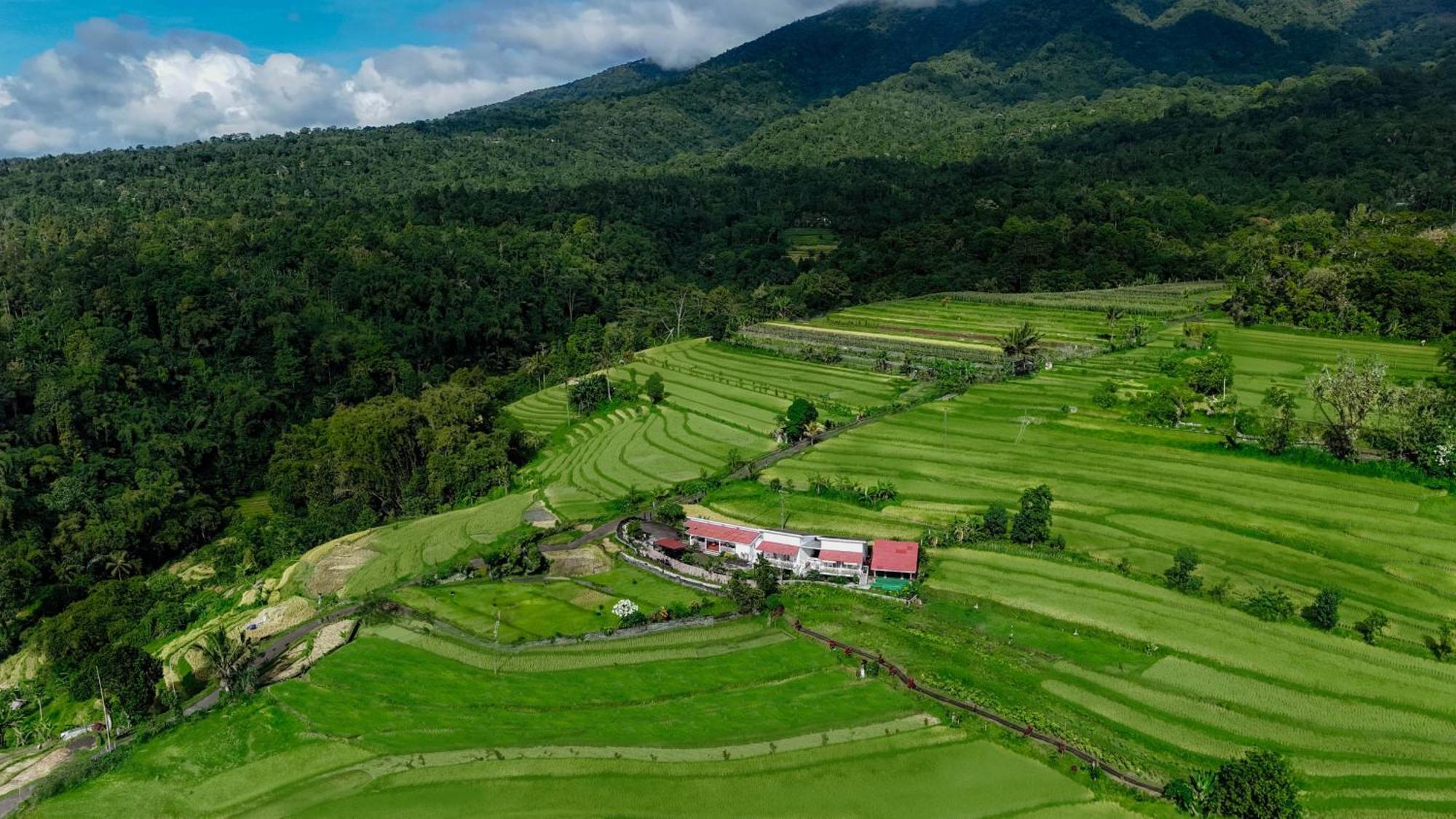 Santya Loka Lodge & Twin Waterfall Jatiluwih Exteriér fotografie